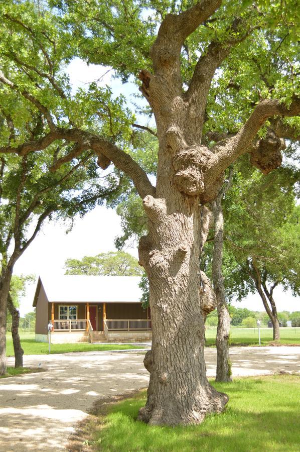 Vineyard Trail Cottages- Adults Only Fredericksburg Habitación foto